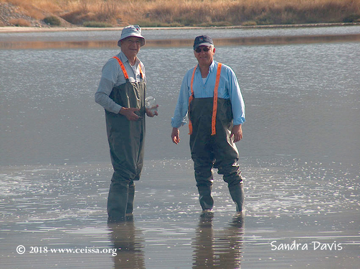 Prof. Steve Davis & Nikolaos Korovessis on the job!